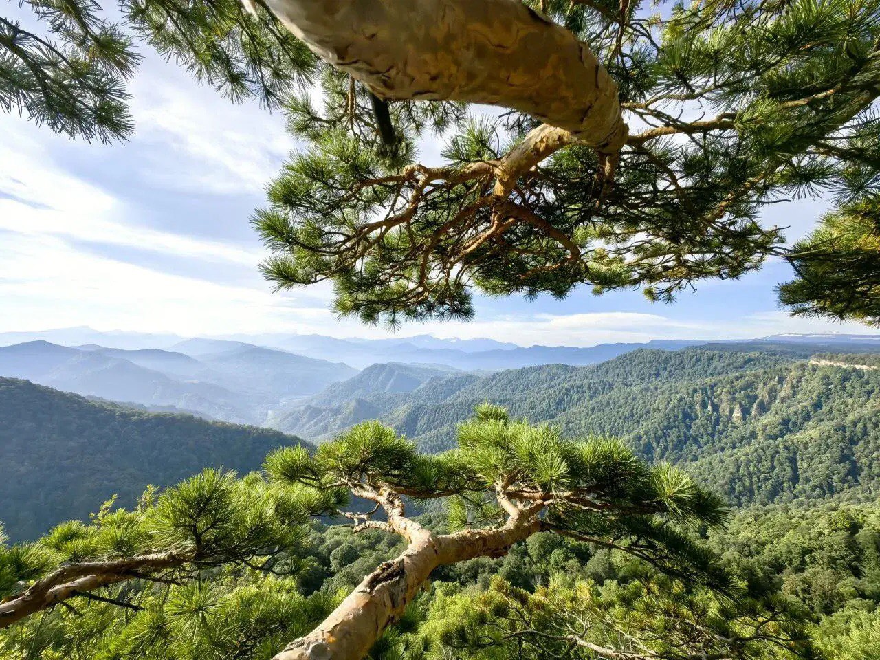 Панорама хребта Уна-Коз